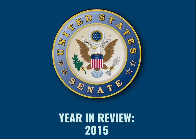 2015 Year In Review 